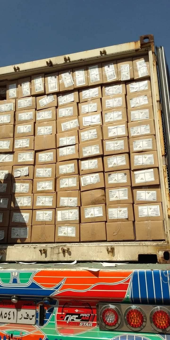 Wadi ElNile cartons inside a reefer container