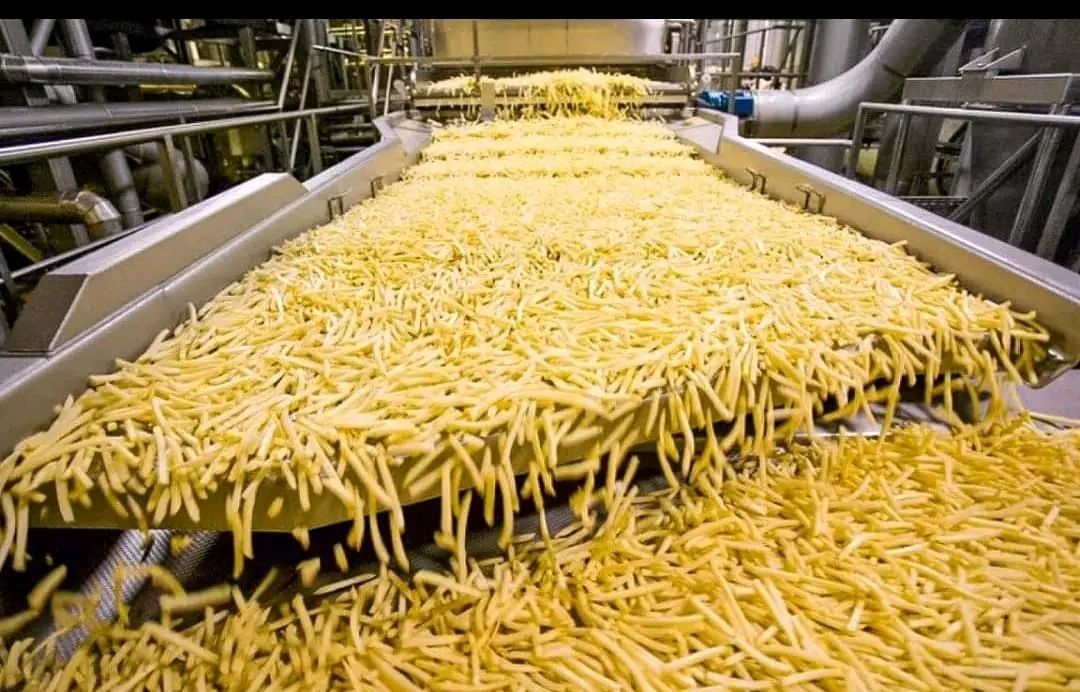 French fries production line