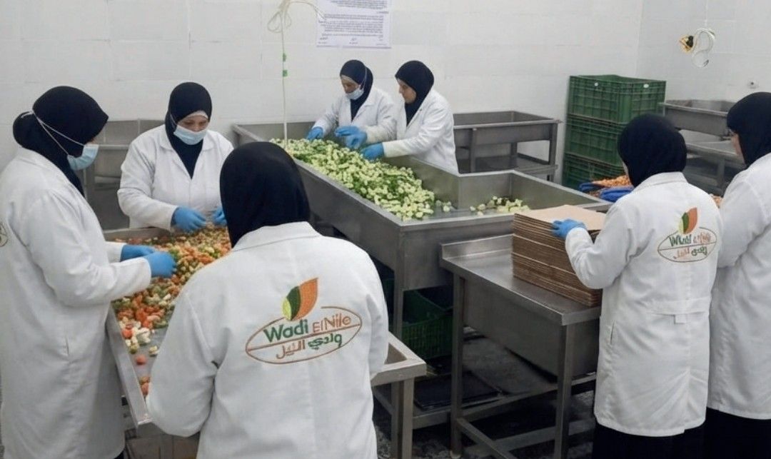 The sorting team on the line